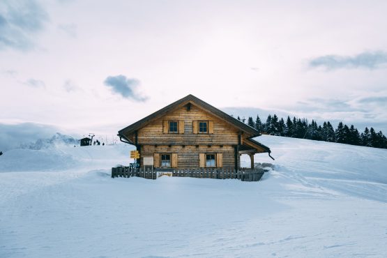 bence-boros-500480-unsplash bence-boros-500480-unsplash