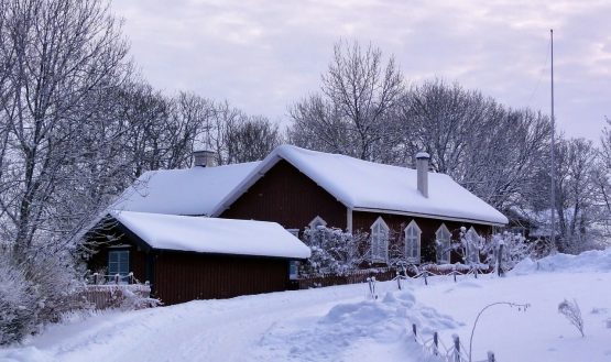 vettershaga-107566_1280 vettershaga-107566_1280